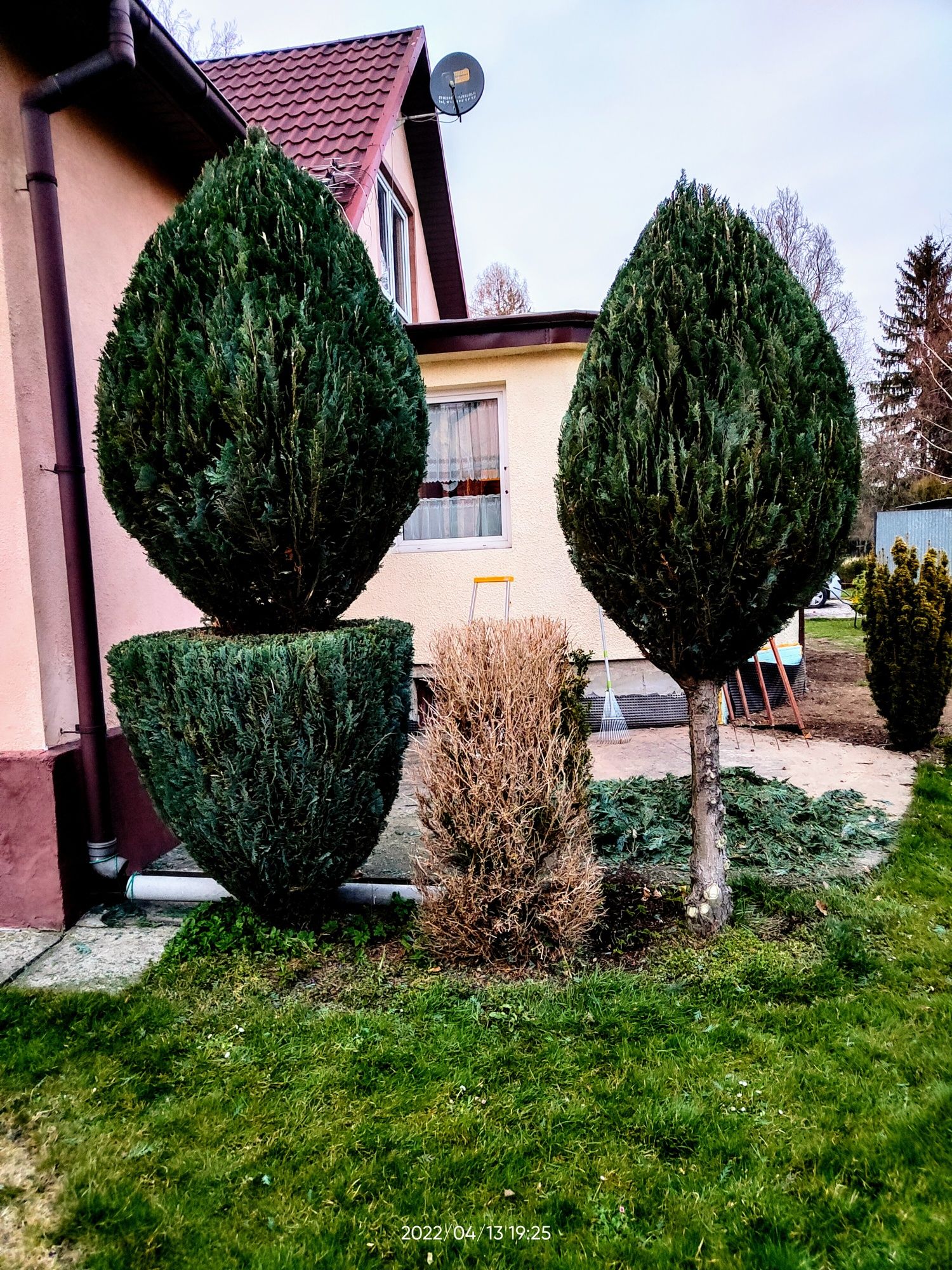 Usługi ogrodnicze- koszenie trawy, karczowanie,wycinka drzew.