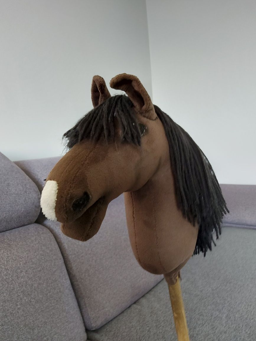 Hobby horse konik