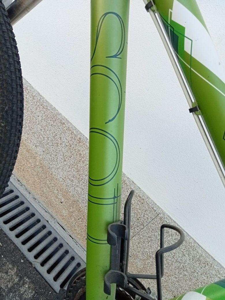 Bicicleta de montanha