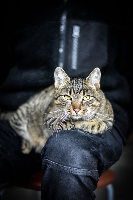 Czy Timon spędzi zimę na dworze?