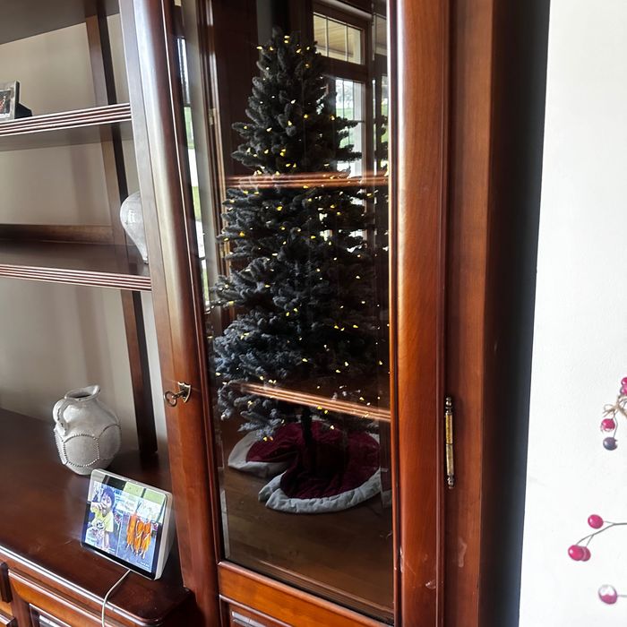 Estate Sale - built-in bookcase Solid Madeira