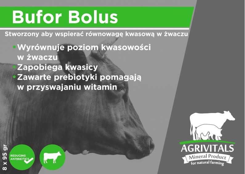 Bolus Bufor - przeciw kwasicy - na kwasice