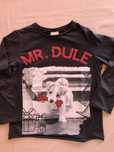 T-shirt cão