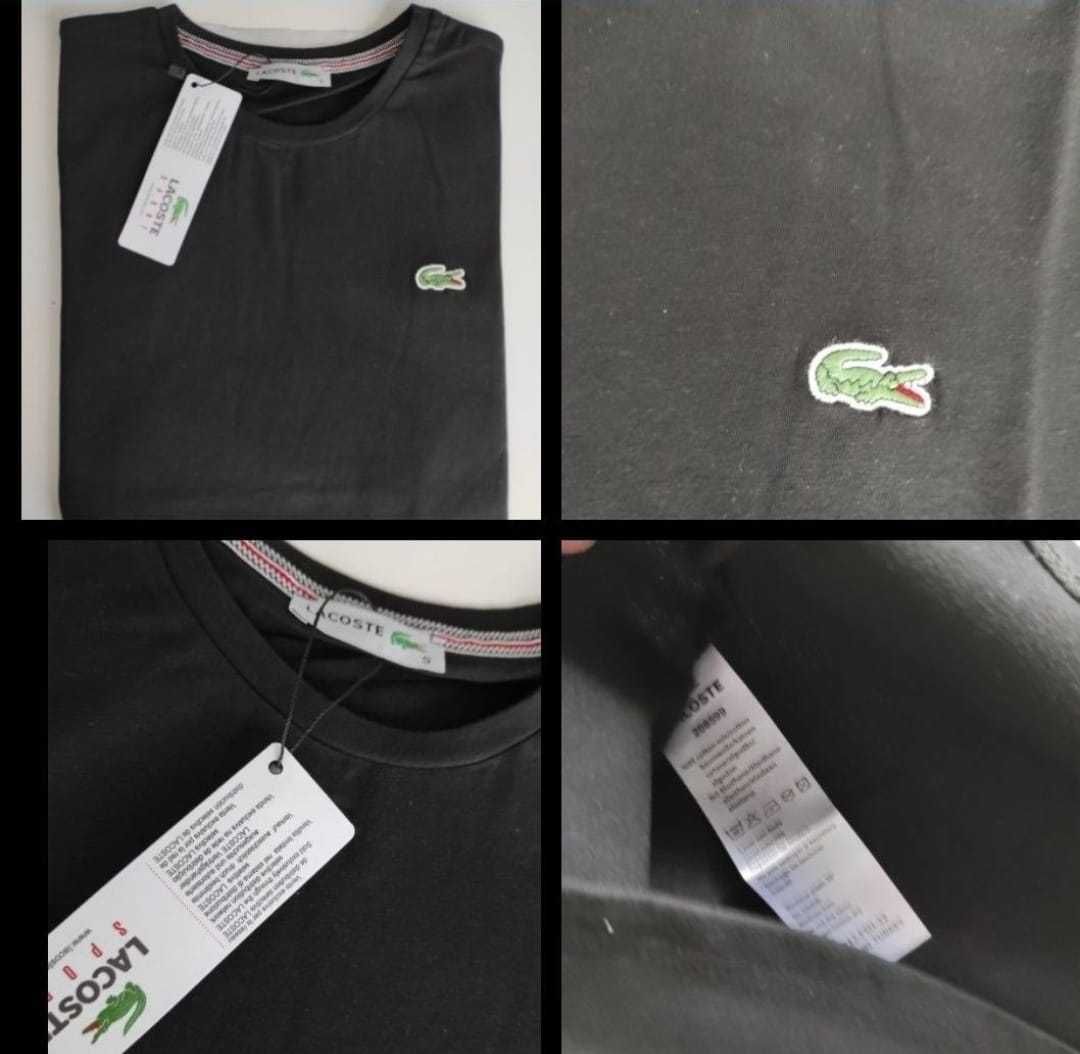 Koszulka damska t-shirt Lacoste kolory koszulki damskie hit