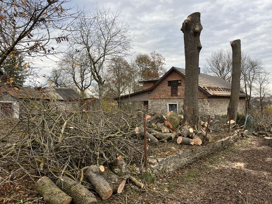 Зрізання аварійних дерев