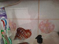Uchwyt na szczoteczkido zębów.