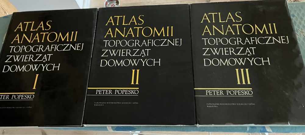 Atlas Anatomii Topograficznej Zwierząt Domowych t 1-3 kpl P Popesko