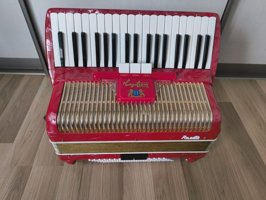 Akordeon Hagstrom Rosita 96 basowy