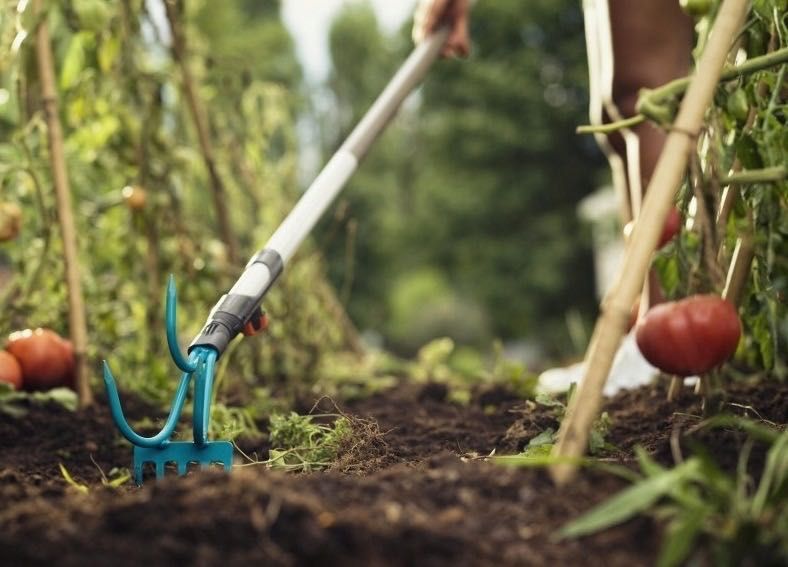 Motyka z pazurkami do ogrodu Kultywator 3-zębny GARDENA