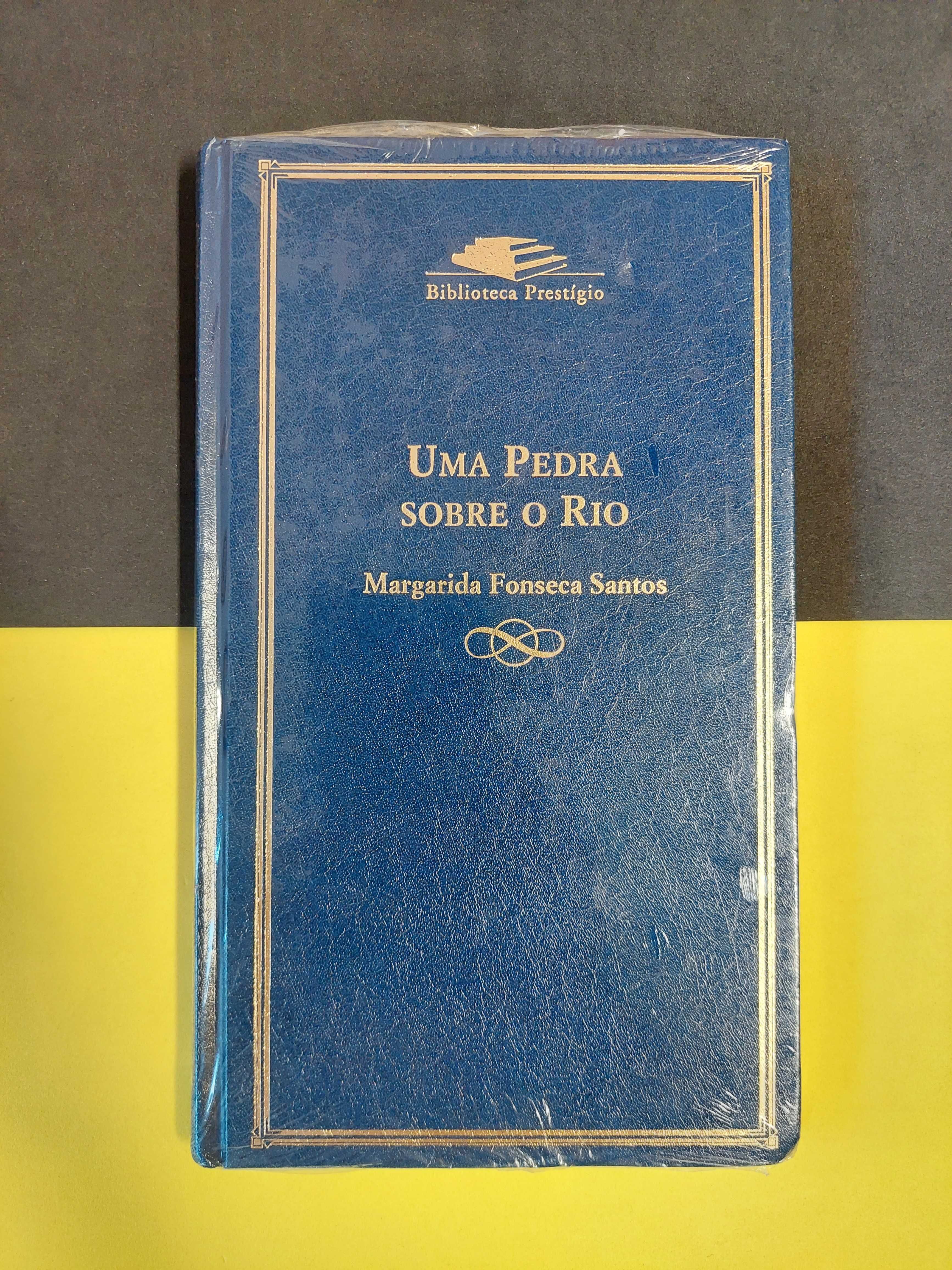 Margarida Fonseca Santos - Uma Pedra sobre o rio