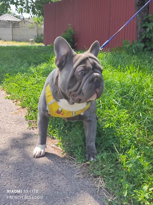 Хлопчик блакитний Биг Роп флаффі.