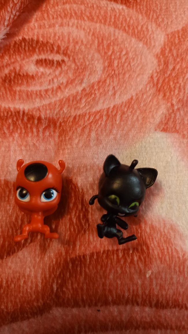 Biedronka i czarny kot