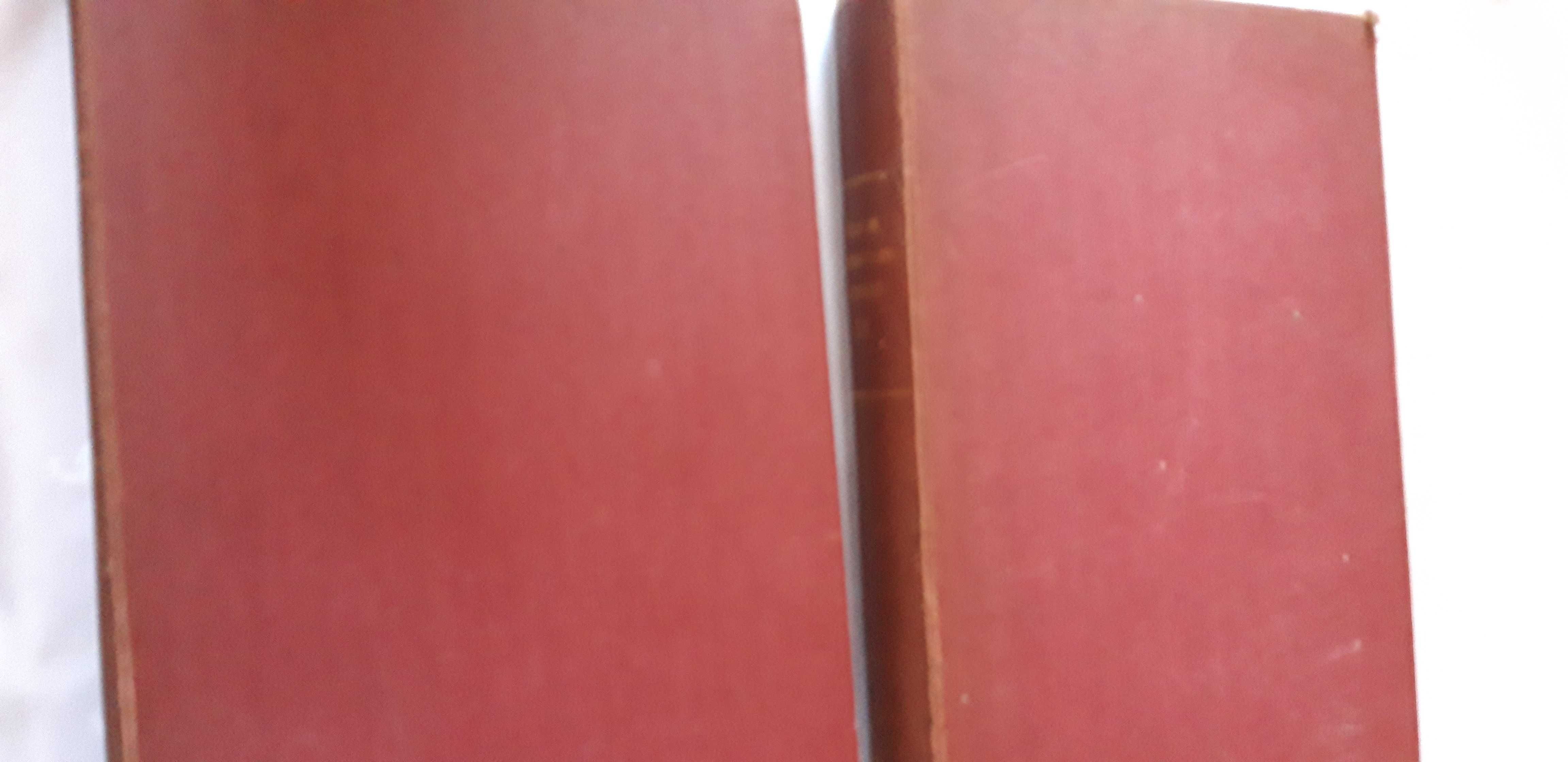 Dzieje Literatury Pięknej w Polsce ,T. 1-2 - Kraków . 1918, opr.