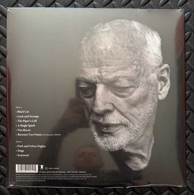 David Gilmour ‎– Luck And Strange