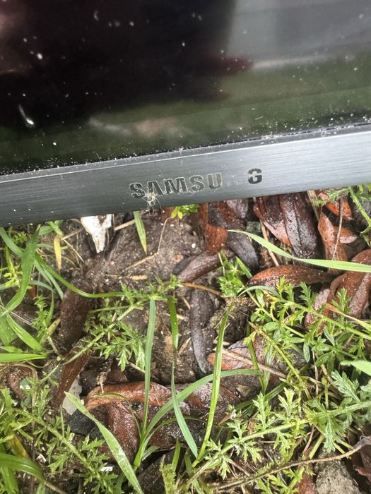 Продам телевизор битый пиксель Samsung 55 диагональ