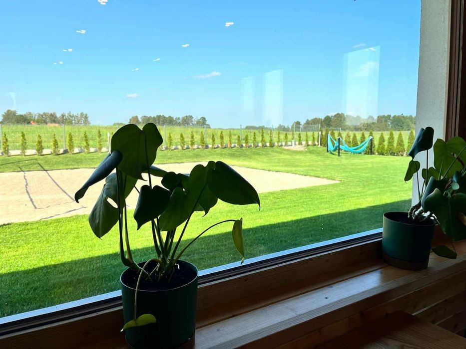 Komfortowy dom na Mazurach ze strefą spa i linią brzegową