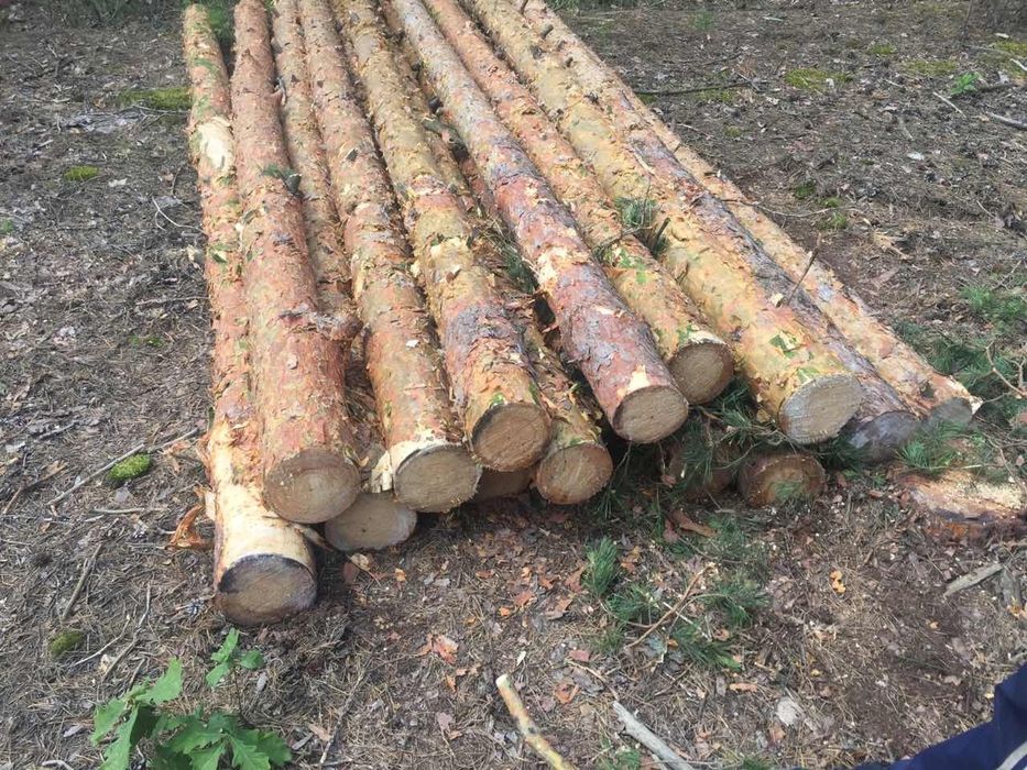 Кругляк сосни 4м  22 штуки