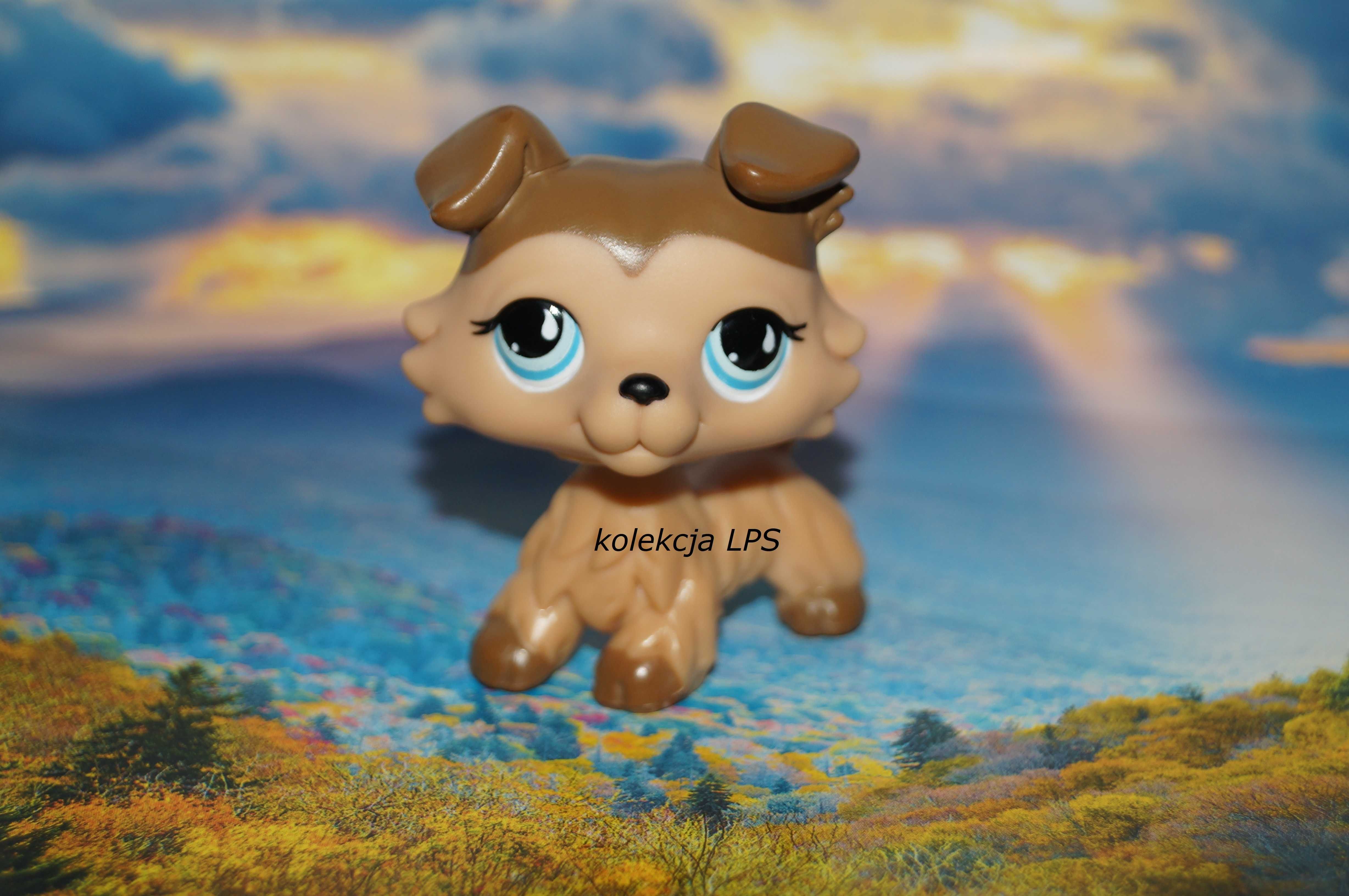 LPS Littlest Pet Shop collie #893 #853 oryginalny oryginał UNIKAT POP