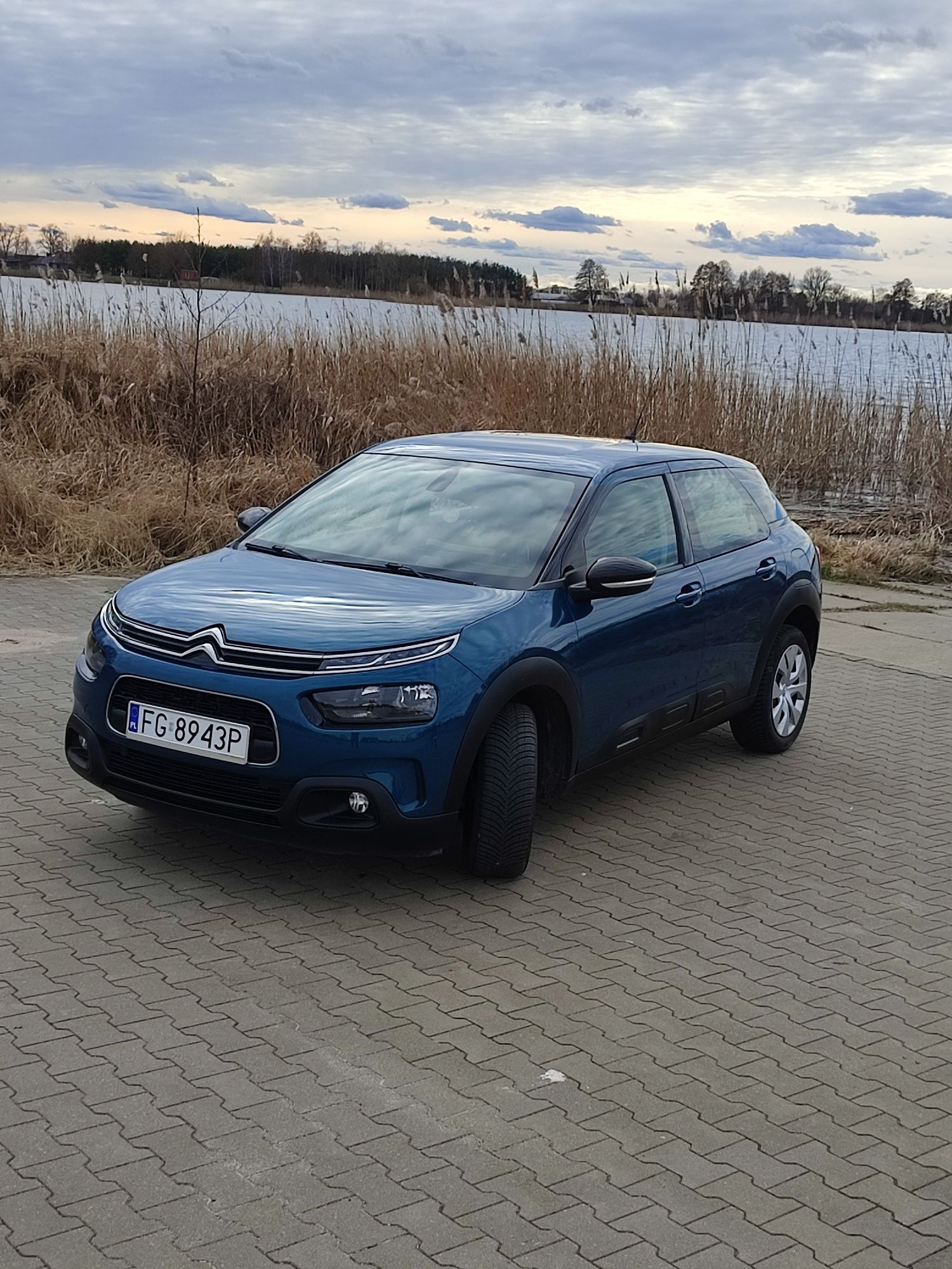 Sprzedam citroena C4 cactus