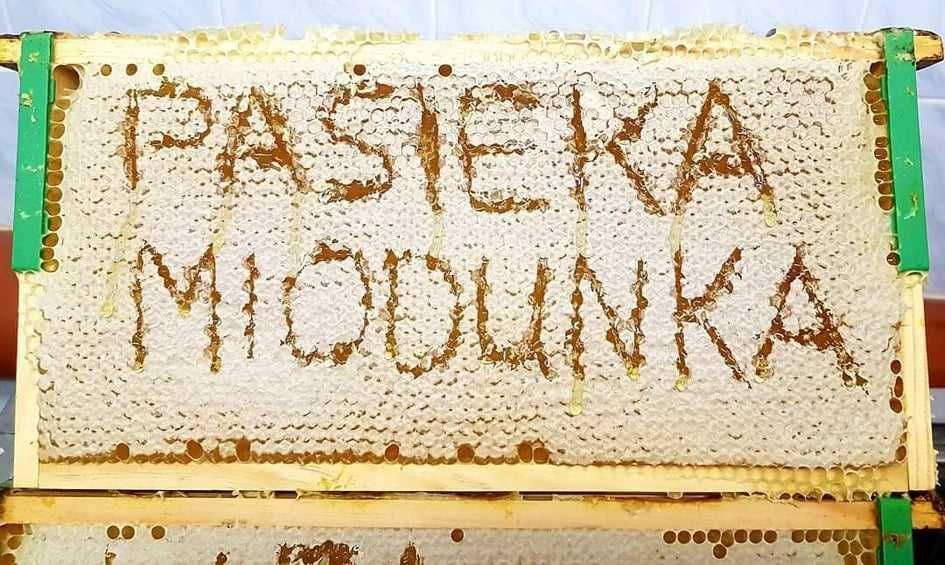 Miód Rzepakowy z własnej Pasieki