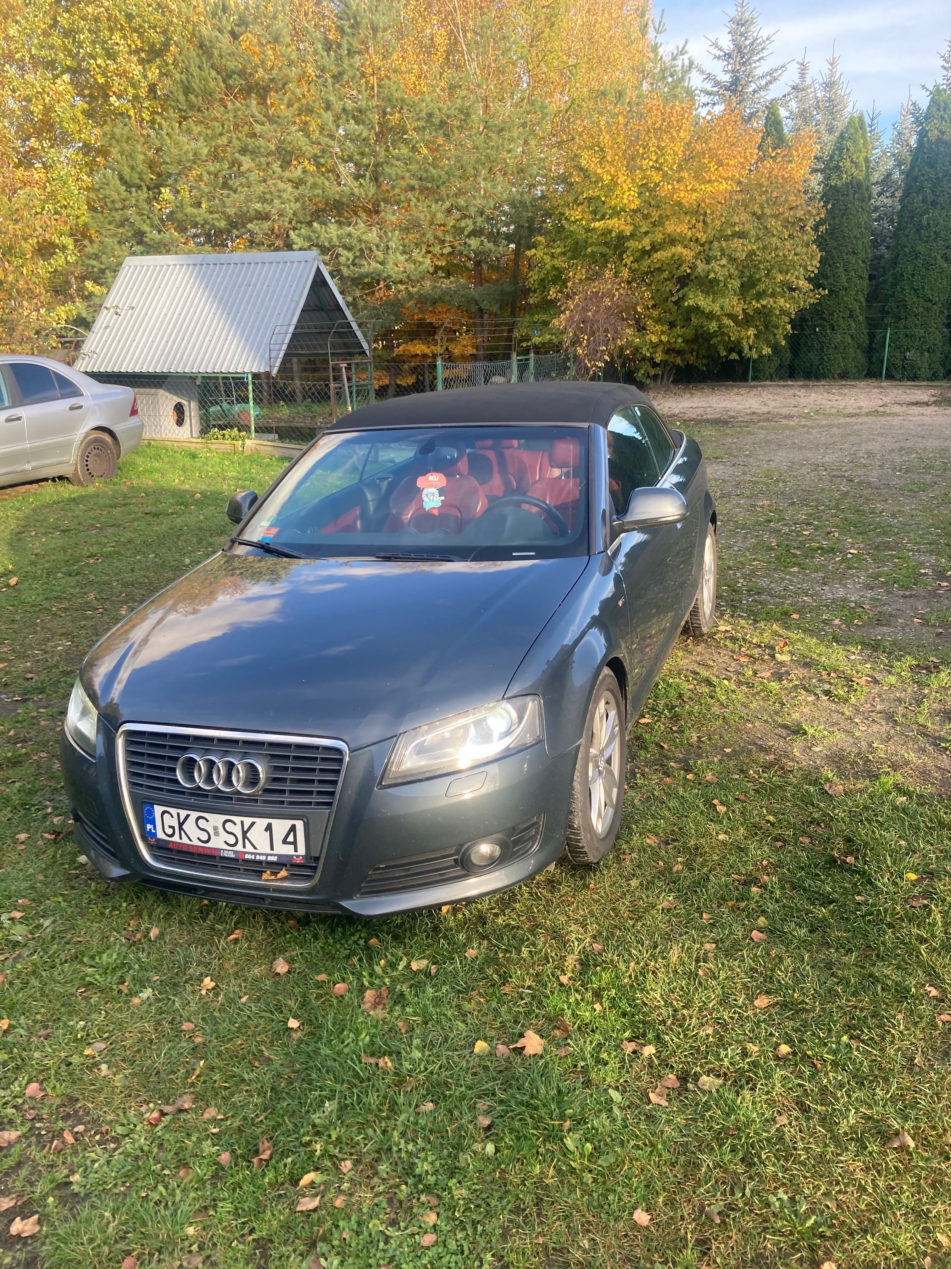 Audi A3 Cabrio 2.0 tdi cr