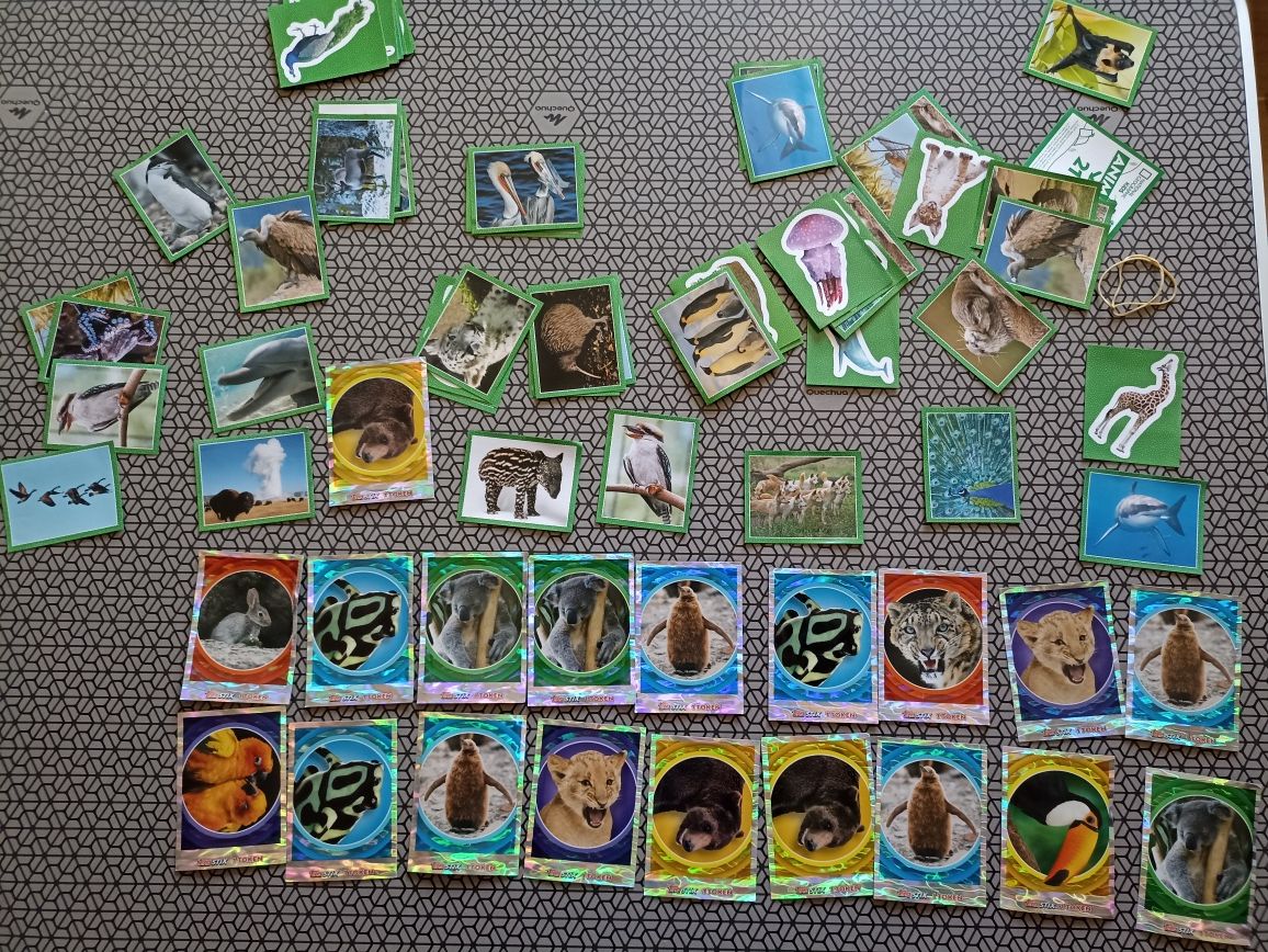 Cromos National Geographic Kids da Topps