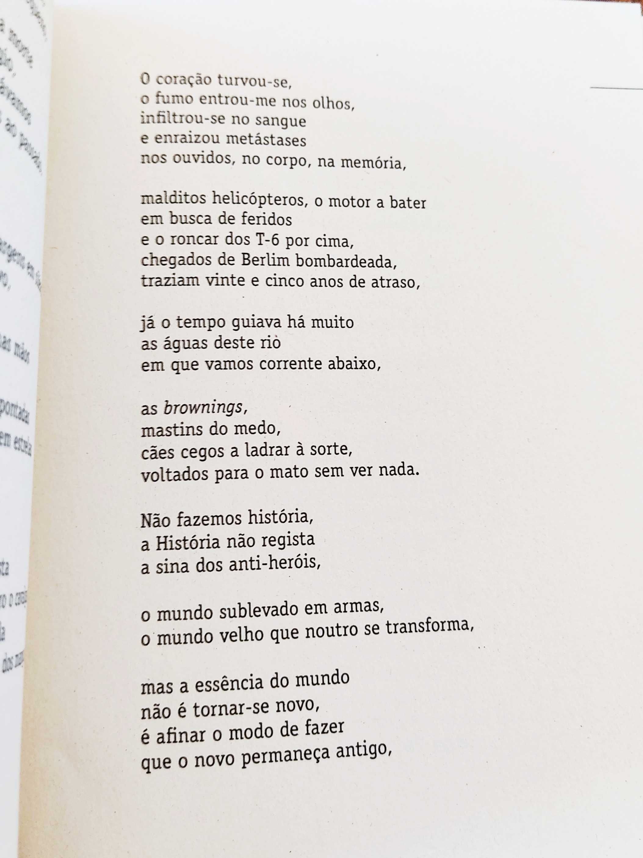 K3 - Nuno Dempster