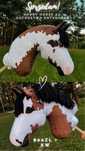 hobby horse srokaty - kht vhagar
