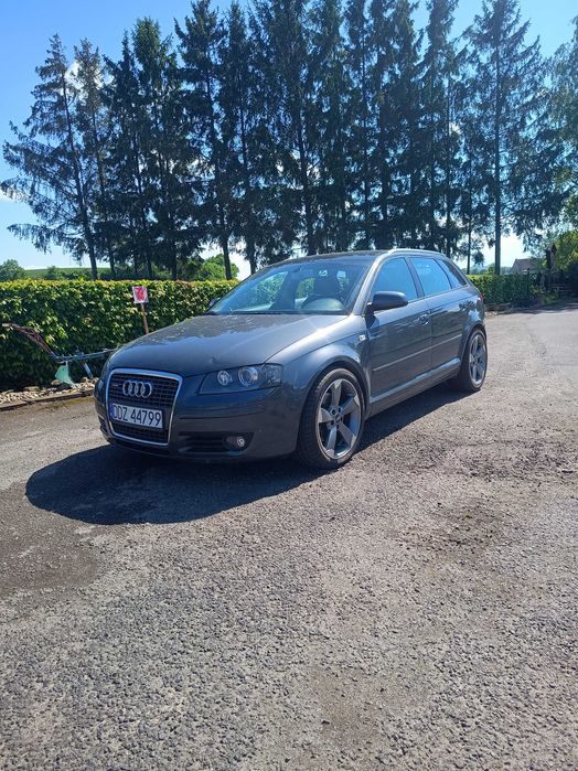 Audi A3 8P 2.0 TDI 170KM Quattro, Panorama