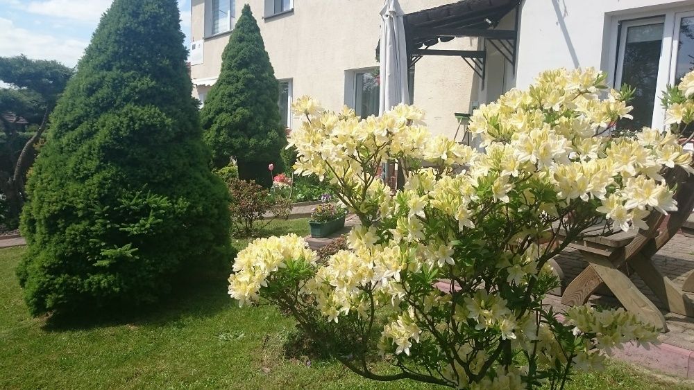 Agroturystyka Ranczo u Bodzia