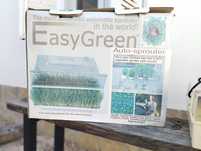 Easy green auto-sprouter