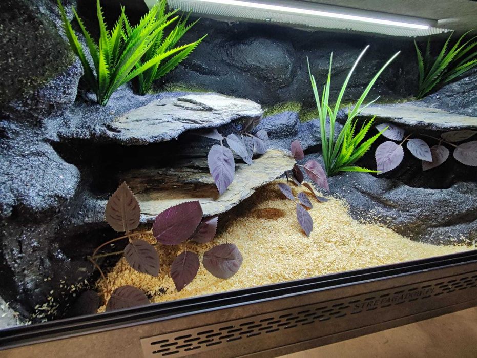 Terrarium tropikalne nr666 80/40/40 dla węża boa pyton NA ZAMÓWIENIE