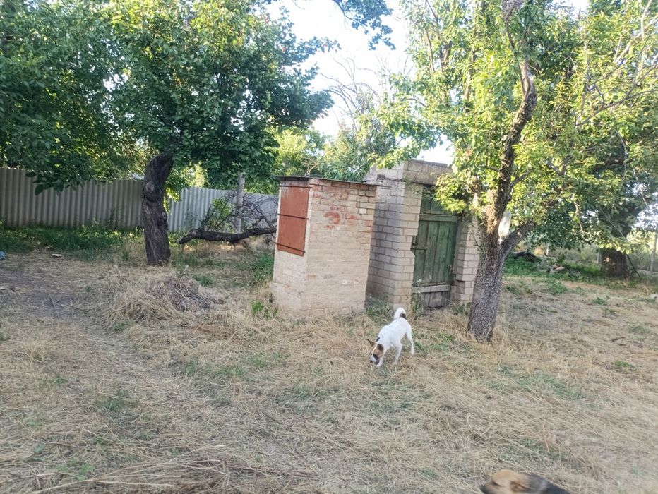 Продам будинок в  селі Виводове Томаківський р-н