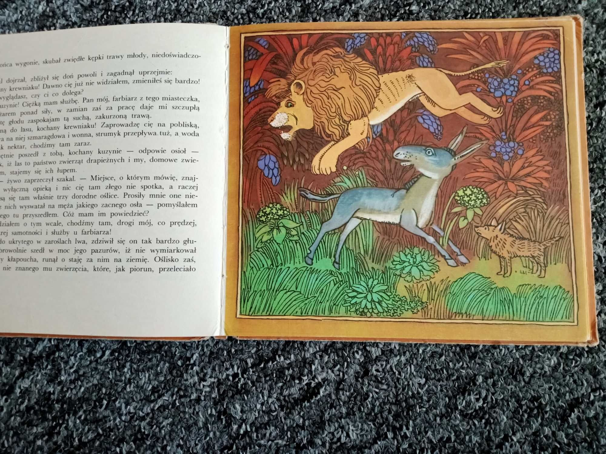 Bajki indyjskie. Opracowanie Michalina Jankowska