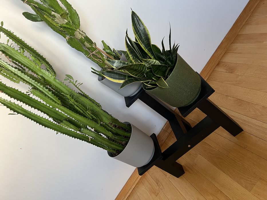 Stojak na kwiaty - kwietnik -czarny - lite drewno - bardzo solidny