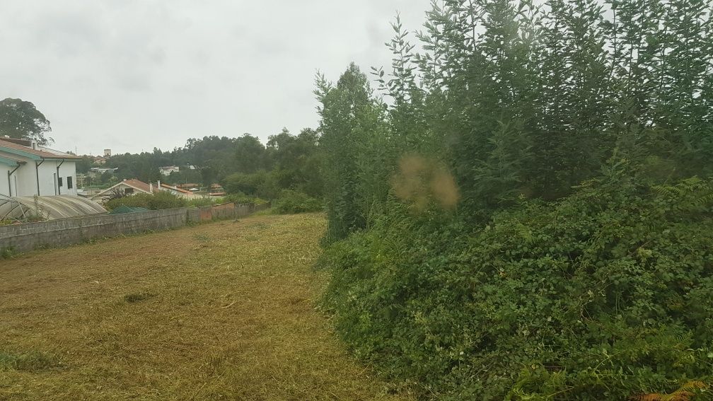 Limpeza de terrenos serviços agrícolas