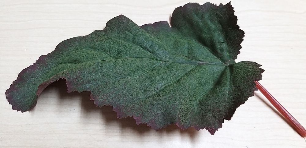 Malvas artifíciais.