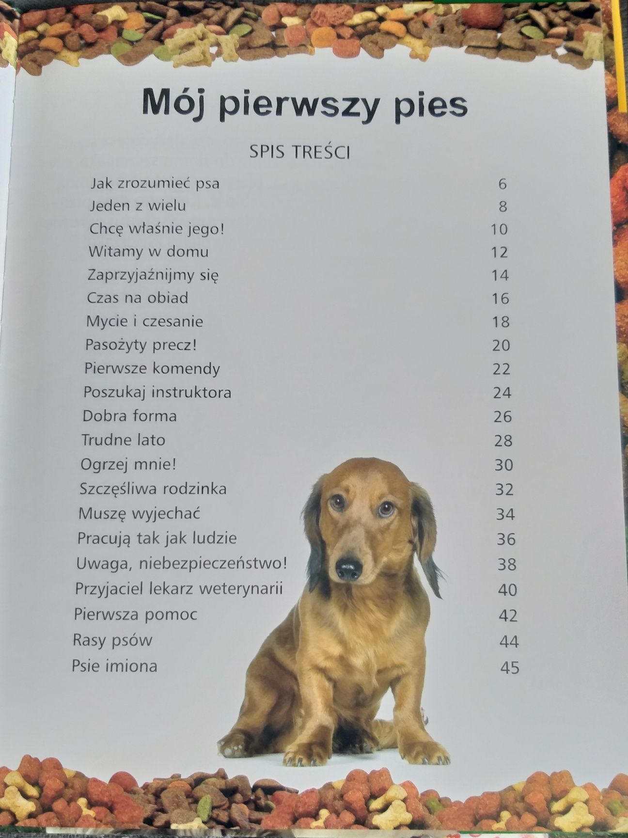 Mój pierwszy pies