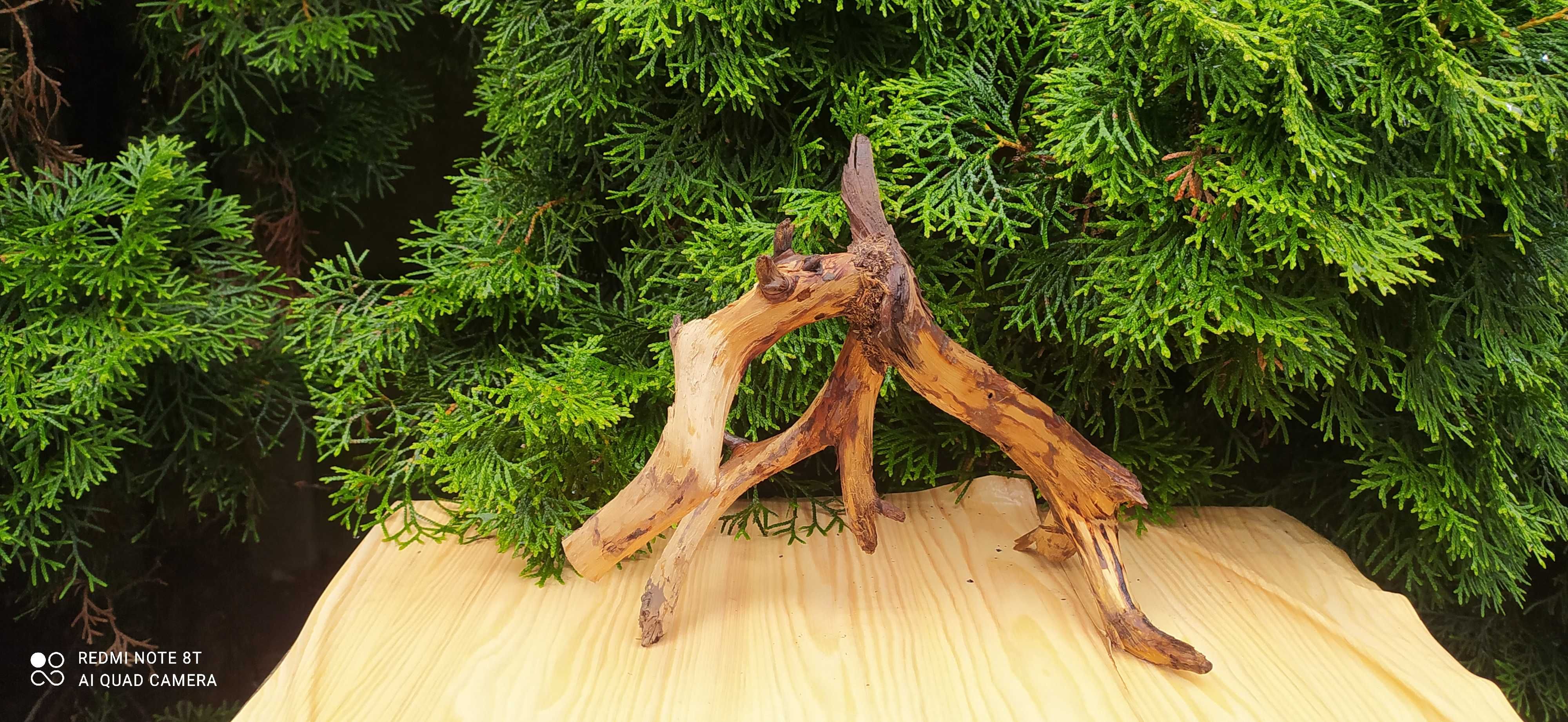 Korzeń do akwarium-24 cm