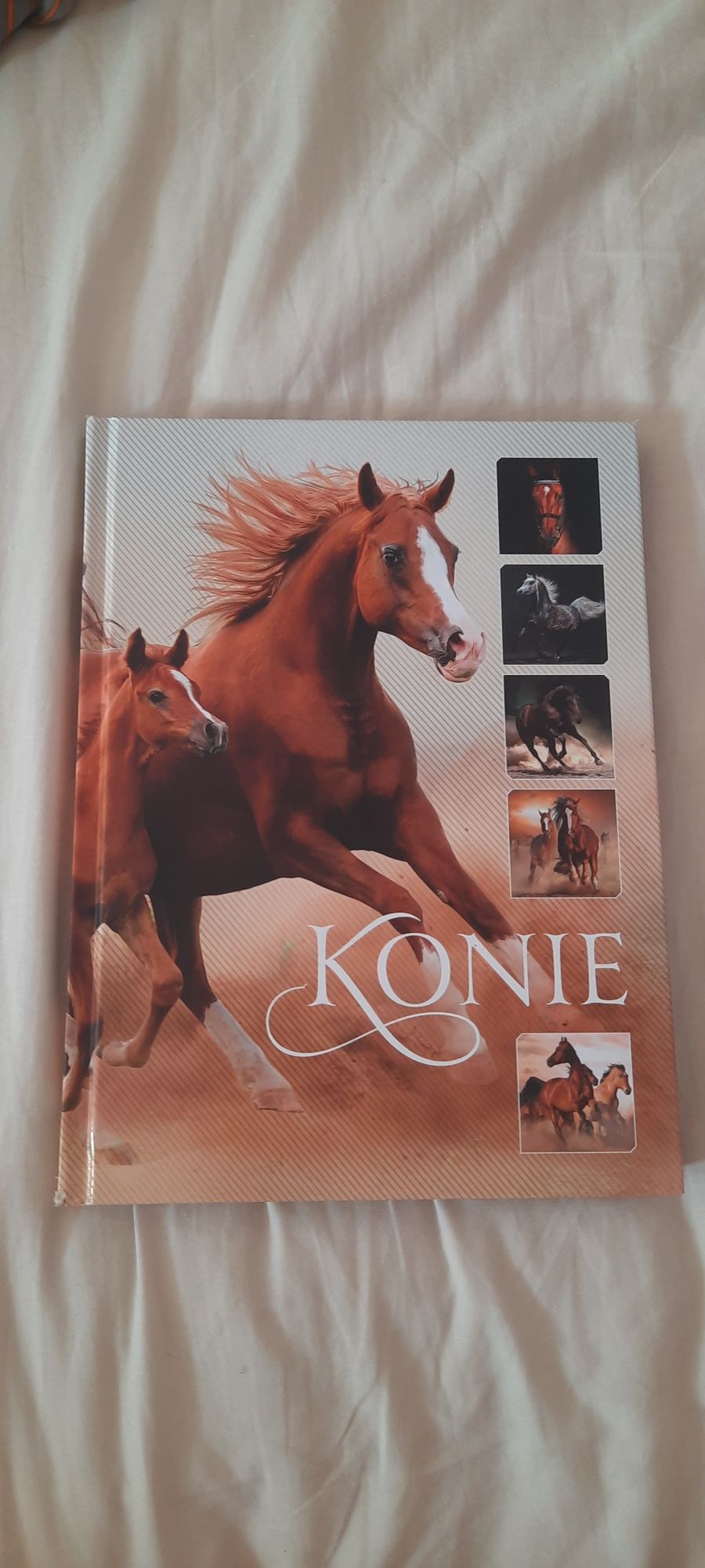 Książka o koniach