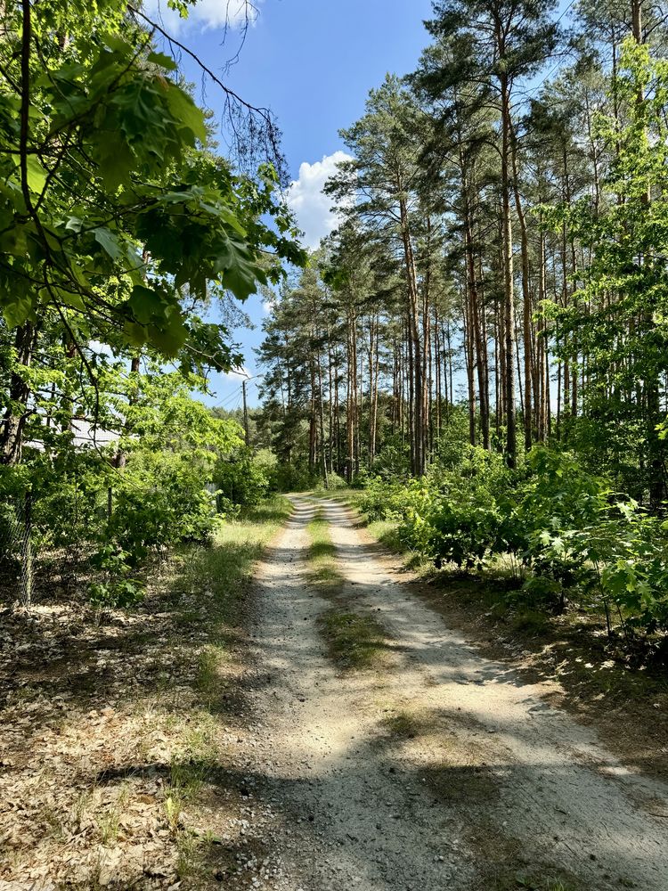 Klimatyczny 100-letni dom wyłączność | 40 min od Wrocławia | Malerzów