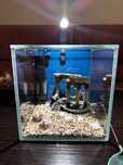 Аквариумный набор Collar DAQUARIUM 5 л из сверхпрозрачного стекла