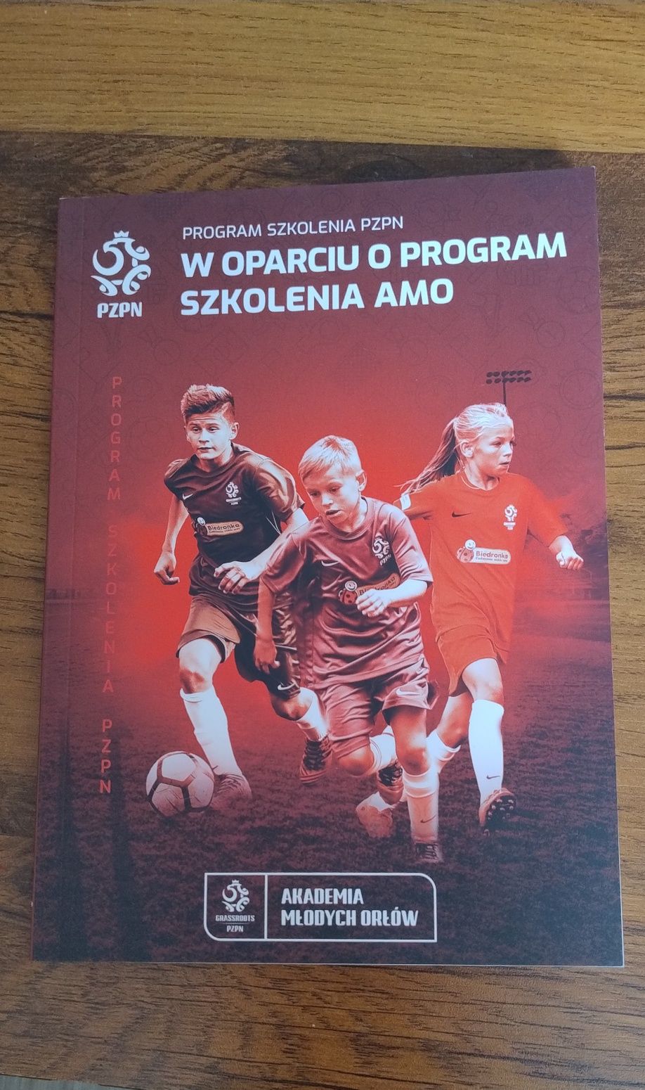Program szkolenia PZPN. W oparciu o program szkolenia AMO
