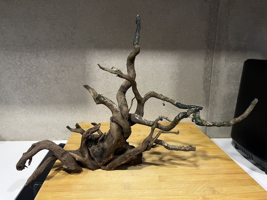 Troncos para aquário/terrário