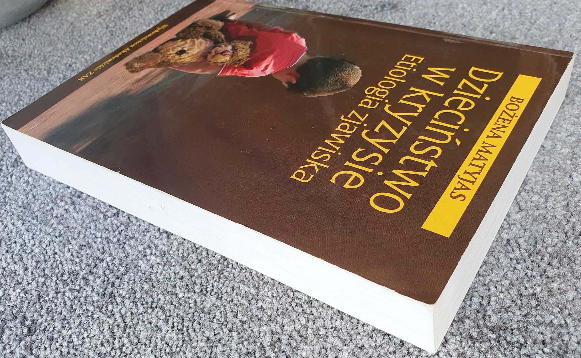Dzieciństwo w kryzysie Etiologia zjawiska Bożena Matyjas