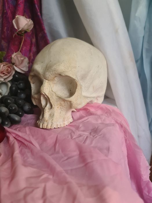 Модель гіпсового черепа