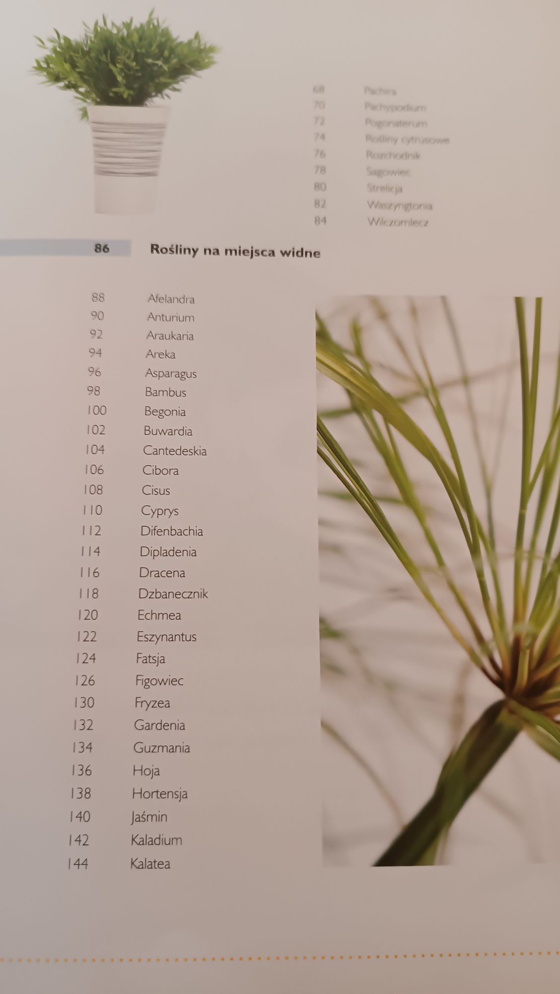 Encyklopedia roślin pokojowych