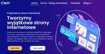 Strona Internetowa www Sklep Internetowy Allegro INDYWIDUALNY PROJEKT