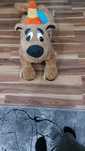 Bujak Scooby doo