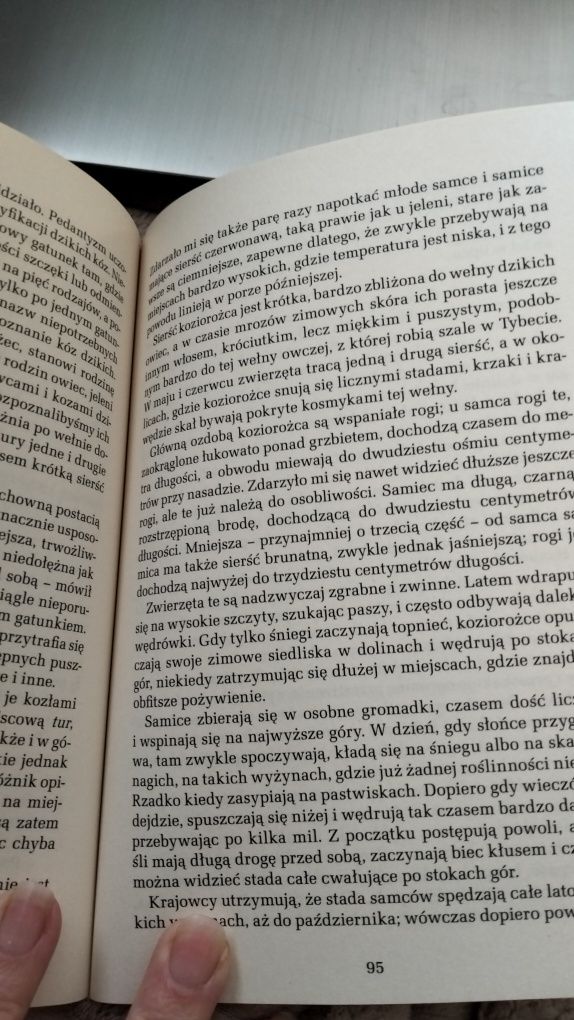 Dolina bez wyjścia Thomas Mayne Reid